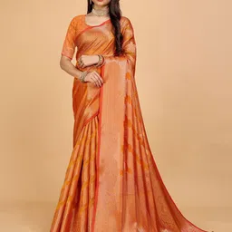 Indian Fashionista Ethnic Motifs Zari Organza Banarasi Saree-picture-13