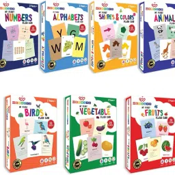 Flash Card Learning Educational Montessori Toy For Kid Combo Set of 196 Cards-image-14