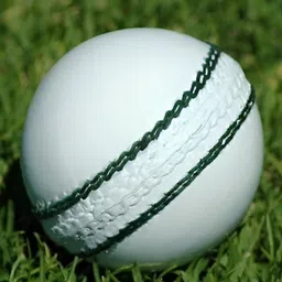 HackerXPebbled Leather Ball Cricket-33