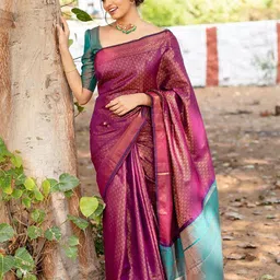 BerMondsey Woven Design Zari Banarasi Saree-picture-51