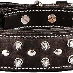 DCL-SD-5 Dog Everyday Collar-27