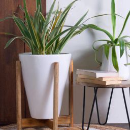 harla arts Love Bite (Large) White Porcelain Floor Planters With Stand-picture-5