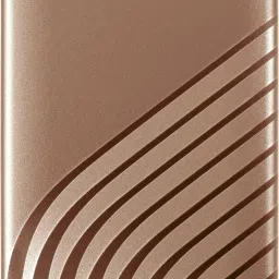WD My Passport 500 GB Wired External Solid State Drive (SSD)-23