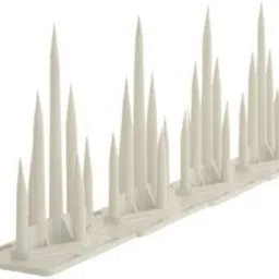 Bird Spike-picture-25
