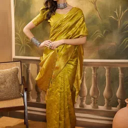 Desi Fusion Woven Design Embroidered Pure Cotton Handloom Saree-picture-19