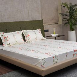 URBAN SPACE Peach-Coloured & White 200 TC Cotton Queen Bedsheet Set 1.27 m x 1.98 m-image-84