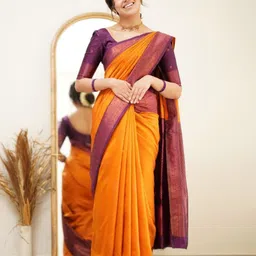 Visit Wear Zari Pure Silk Banarasi Saree-picture-58