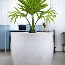 Go Hooked Pluto White & Green Durable Planter-6