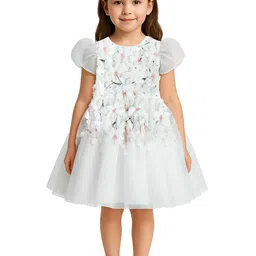 Alyaansh Couture Girls Floral Self Design Net Fit & Flare Dress-picture-19