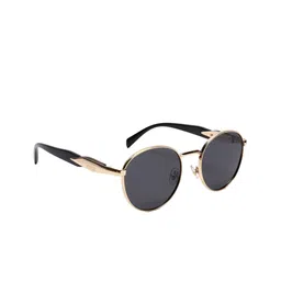 Irayz Unisex Black Lens & Gold-Toned Round Sunglasses with-picture-16