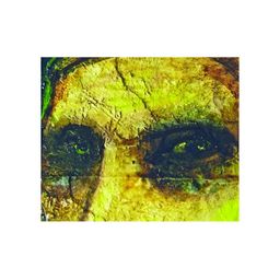 Inephos Black And Green Eyes Canvas Wall Art-picture-20