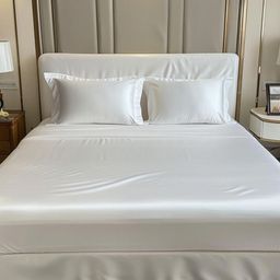 COOLBEDS White 400 TC Queen Bedsheet with 2 Pillow Covers-image-22