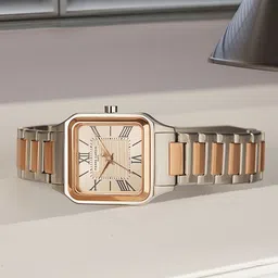 pierre cardin Men Dial & Stainless Steel Straps Analogue Multi Function Watch CF.1006.MU-6