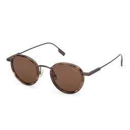 Ermenegildo Zegna Men Brown Lens & Brown Round Sunglasses with-picture-41