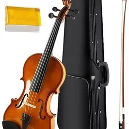 regeira 4/4 Stroh (Horn-violin) Violin-picture-48