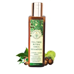 VITMINVEDA Tea Tree, Ritha & Amla Shampoo to Nourish Hair - 200 ml-38