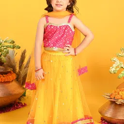 SAKA DESIGNS Girls Sequinned Embellished Ready to Wear Lehenga & Blouse With Dupatta-19