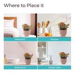 The Better Home Green 1 Pieces Core With Pot image 4