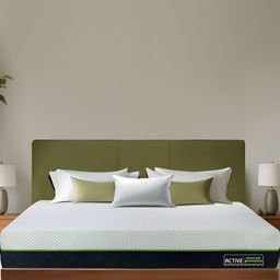 Amore Active Green Tea White & Black Orthopedic Double Size Mattress-image-85
