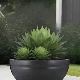Go Hooked Lotus Bowl Black & Green Durable Planter-49