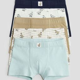 H&M 5-Pack Trunks-picture-44