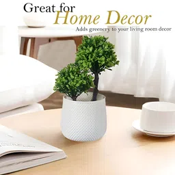 Kuber Industries White & Green 5 Pieces Artificial Plants With Pot image 5