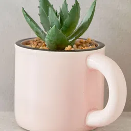 Home Centre Gloria Pink Palm Artificial Succulent Plant With Ceramic Pot-image-97