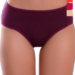 DHANDAI FASHION Pack Of 4 Pure Cotton Hipster Briefs Soft Cotton Panty (SC-M-12)Mlt Pcs-4-image-7