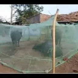 buyagain Polyester Infants Washable Mosquito Net HDPE Animal Mosquito Nets for Cow/Buffalo (15 x 15 x 10 ft) Mosquito Net image 3