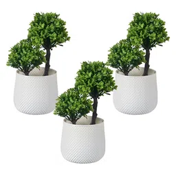 Kuber Industries White & Green 3 Pieces Artificial Plants With Pot-58