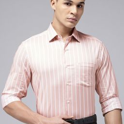 Arrow Manhattan Slim Fit Striped Pure Cotton Formal Shirt-picture-27