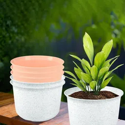 Kuber Industries White & Peach 6 Pieces  Textured Planters With Plate-41