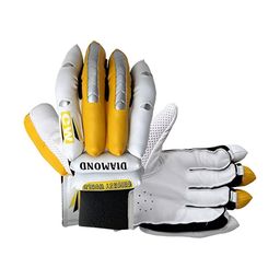 CW Boys Cricket Gloves-image-47