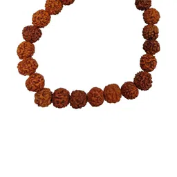 Divine souvenirs Unisex Rudraksha Beaded Elasticated Bracelet-24
