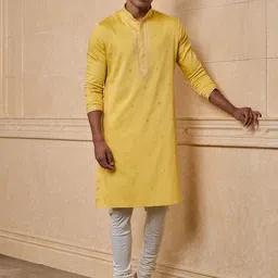 Tasva Ethnic Motifs Embroidered Zari Work Straight Kurta with Churidar-picture-47