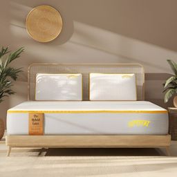 SleepyCat Hybrid Latex Orthopedic 8 inch Thickness Single Size Mattress 72x36x8 Inches-image-18
