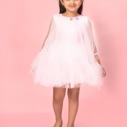 BAESD Net A-Line Dress image 1