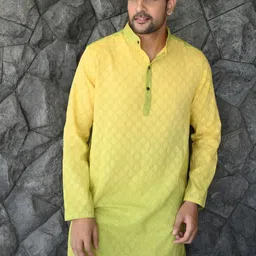Style Matters Men Yoke Design Kurta-picture-15