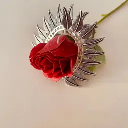 Sangria Silver-Plated Oxidised Leaf Shaped Ear Cuffs-image-99