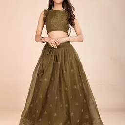 Tasarika Girls Embroidered Thread Work Silk Organza Ready To Wear Lehenga & Choli-image-96