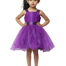 Wish little Net A-Line Dress-13
