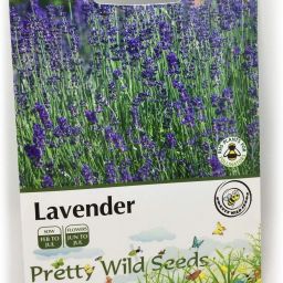 Lavender - Lavendula ANGUSTIFOLIA [50 Seeds] Seed-image-92