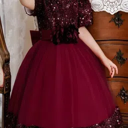 Vani Enterprise Net Fit & Flare Midi Dress image 3