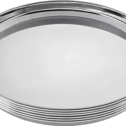 Magic Stainless Steel Heavy Gauge Dinner Plates with Mirror Finish Dinner Plate-13