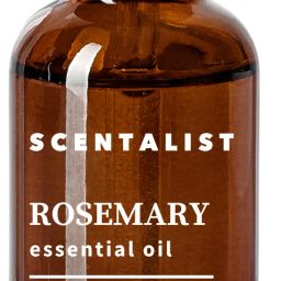 SCENTALIST Rosemary Essential Oil For Hair And Skin, Strength, Hair Growth Hair Oil Personal Care Appliance Combo-image-13