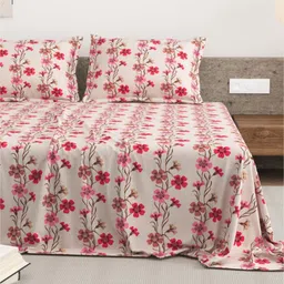 DREAM WEAVERZ Pink & Grey Floral Pure Cotton 220 TC King Bedsheet Set-2.75 m x 2.55 m-image-93