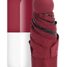 DAJ NV UMBRELLACapsuleU113 H73 Umbrella-30