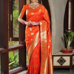 BerMondsey Woven Design Banarasi Saree-47