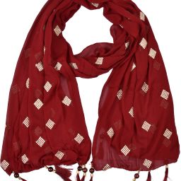 Chiffon Embroidered Maroon Women Dupatta-image-4
