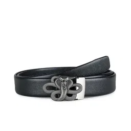 Kastner Men Black Solid Belt-image-22